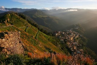 stello di Tripi-06-02-2016 17-48-41